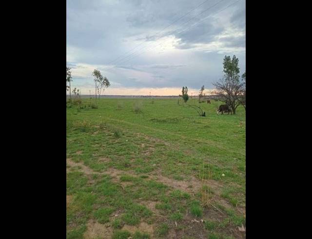 FARM FOR SALE IN MEYERTON